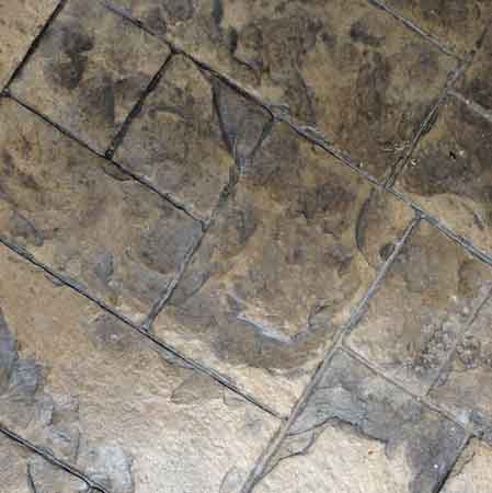 betonsw motifs